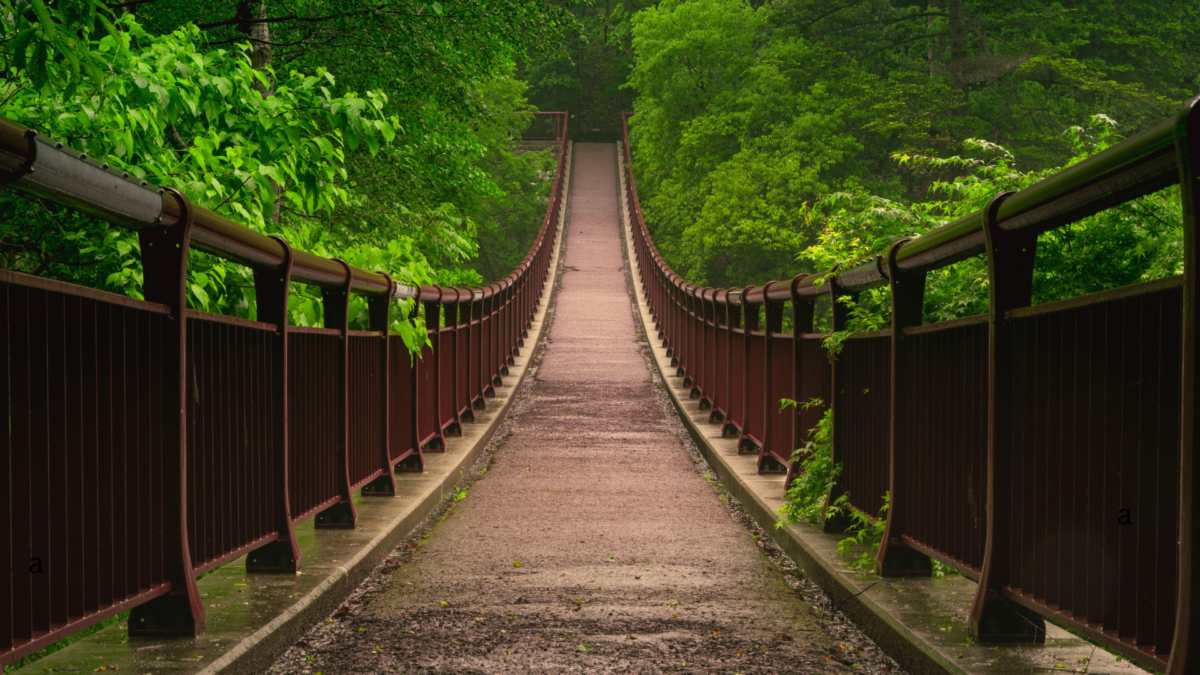 Boundaries Create Bridges